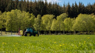 Sproyting Tjotta Ingvild Melkersen