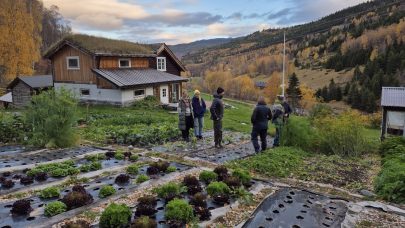 Faglig nettverk gir inspirasjon og kunnskap. Foto: Kari Bysveen