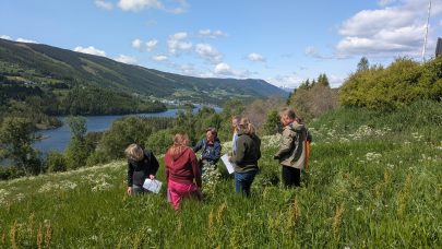 PXL 20250611 112204852 MP 1